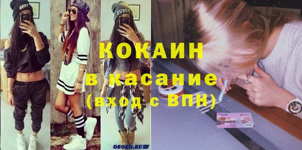 шишки Алексин