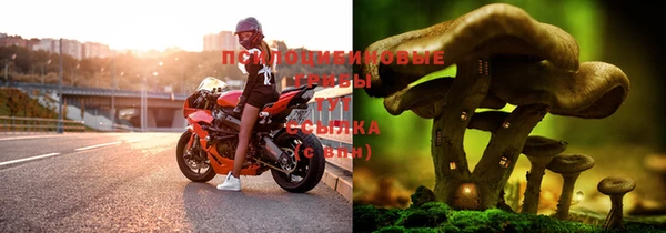шишки Алексин